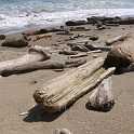 driftwood