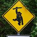 monkeysign